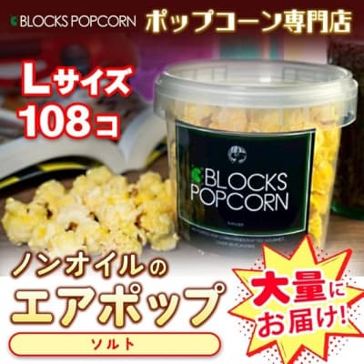 ポップコーン専門店 大量にお届け ノンオイルのエアポップ Lサイズ 108個　味:ソルト【塩味】