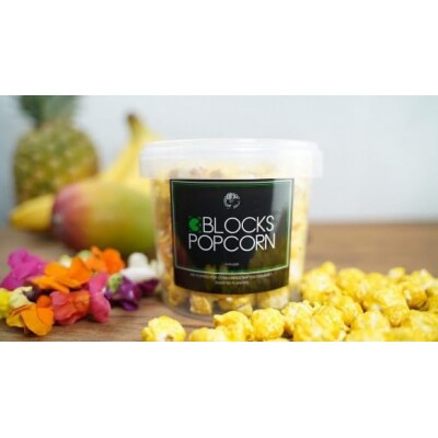 ポップコーン専門店 イベントでポップコーン屋に! 350人分ノンオイルのエアポップ　マンゴー味