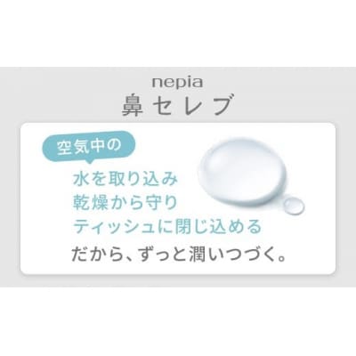 【定期便】2回発送(6か月おきに発送) ネピア鼻セレブティシュ3箱×10パック