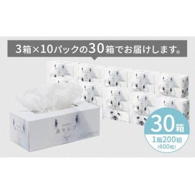 【定期便】3回発送(2か月おきに発送)  ネピア鼻セレブティシュ3箱×10パック