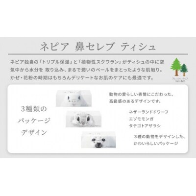 【定期便】3回発送(4か月おきに発送)  ネピア鼻セレブティシュ3箱×10パック