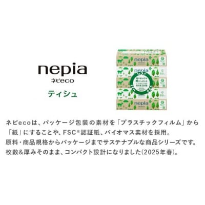 【定期便】2回発送(3か月おきに)ネピア ネピecoティシュ200組　5箱×12パック