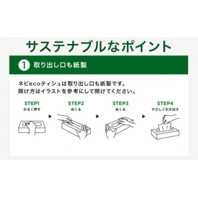 【定期便】3回発送(2か月おきに)ネピア ネピecoティシュ200組　5箱×12パック