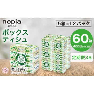 【定期便】3回発送(4か月おきに)ネピア ネピecoティシュ200組　5箱×12パック