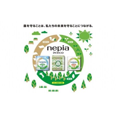 【定期便】3回発送(4か月おきに)ネピア ネピecoティシュ200組　5箱×12パック