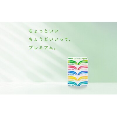 【定期便】2回発送 (3か月おきに) ネピアティシュ 5箱×12パック