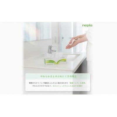 【定期便】2回発送 (3か月おきに) ネピアティシュ 5箱×12パック