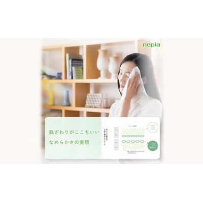 【定期便】2回発送 (3か月おきに) ネピアティシュ 5箱×12パック