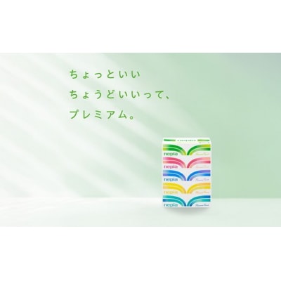 【定期便】2回発送 (6か月おきに) ネピアティシュ 5箱×12パック