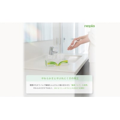 【定期便】2回発送 (6か月おきに) ネピアティシュ 5箱×12パック