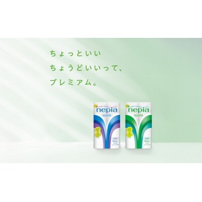 【定期便】3回発送 (4か月おきに) ネピアトイレットロール12ロールシングル×6パック