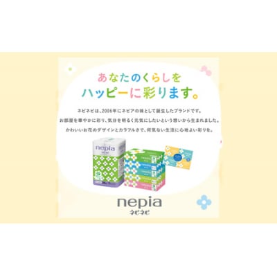 【定期便】2回発送 (6か月おきに) ネピアネピネピトイレットロール12ロールシングル×6パック