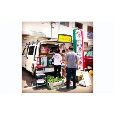 体にうれしい健康食材「食用サボテン」のサボイカ春巻き 10本入り(1本60g×10本)