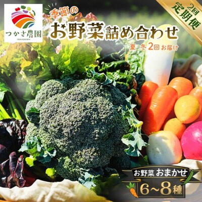 【定期便2回(夏・冬)】つかさ農園 季節のお野菜詰め合わせ(6～8種) ※北海道・沖縄・離島配送不可