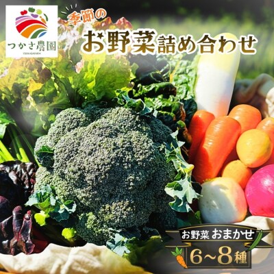 つかさ農園 季節のお野菜詰め合わせ(6～8種) ※北海道・沖縄・離島への配送不可