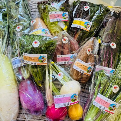 つかさ農園 季節のお野菜詰め合わせ(6～8種) ※北海道・沖縄・離島への配送不可