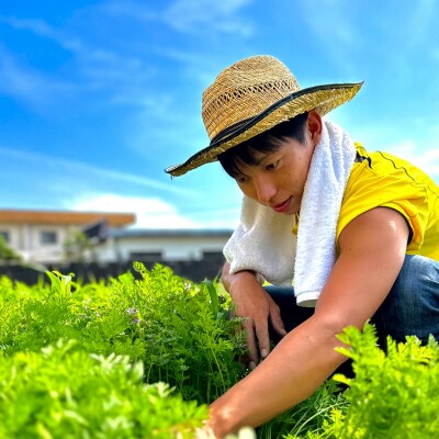 つかさ農園 季節のお野菜詰め合わせ(6～8種) ※北海道・沖縄・離島への配送不可