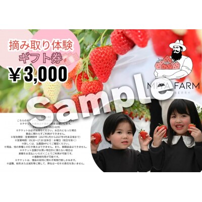 【先行受付】MIYA FARM いちごお持ち帰りギフト券 3,000円分 ※2026年12月～発送