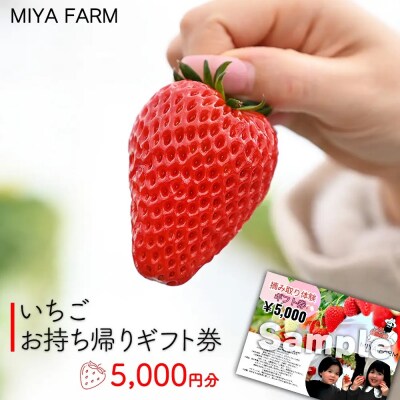 【先行受付】MIYA FARM いちごお持ち帰りギフト券 5,000円分 ※2026年12月～発送