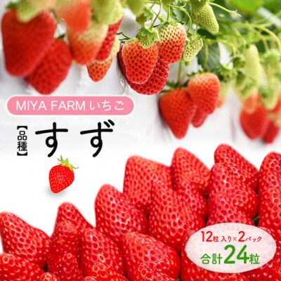 【先行予約】MIYA FARM いちご(品種:すず)12粒入り×2パック 合計 24粒