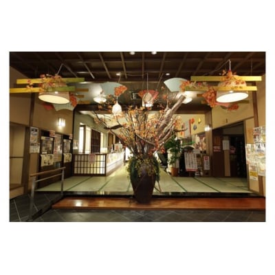 篠木温泉 満天望 全日無料入浴券 5枚