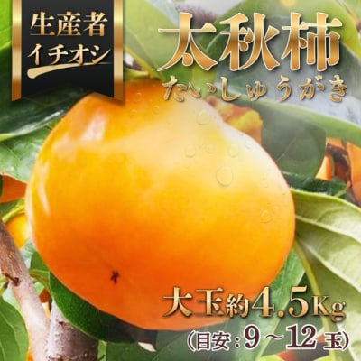太秋柿(たいしゅうがき)約4.5kg(目安:9～12玉)　※2026年11月～発送