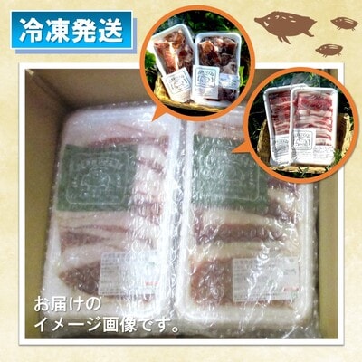 脊振ジビエ イノシシ肉バラエティセット 約1.4kg (H044107)