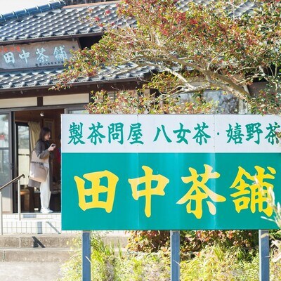 普段使いに「煎茶」200g×4本・茶缶付き (H047102)