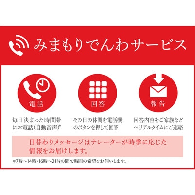 神埼市内みまもりでんわサービス(携帯電話・3ヶ月) (H068107)