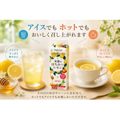 東濃のはちみつレモン　4本