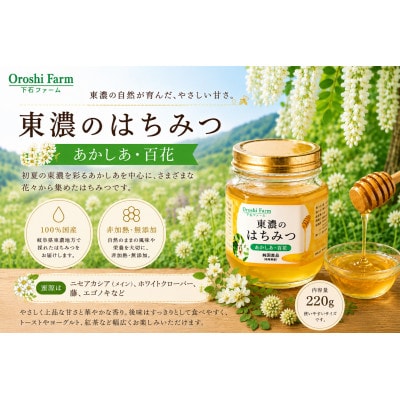 東濃のはちみつ　あかしあ・百花　220g