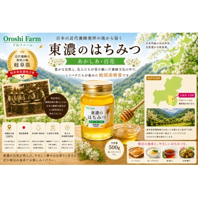 東濃のはちみつ　あかしあ・百花　500g