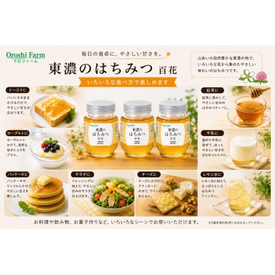 東濃のはちみつ　百花　220g　3本セット