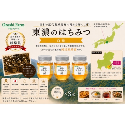 東濃のはちみつ　百花　220g　3本セット