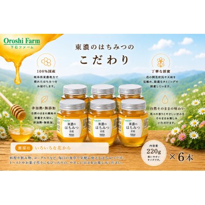 東濃のはちみつ　百花　220g　6本セット