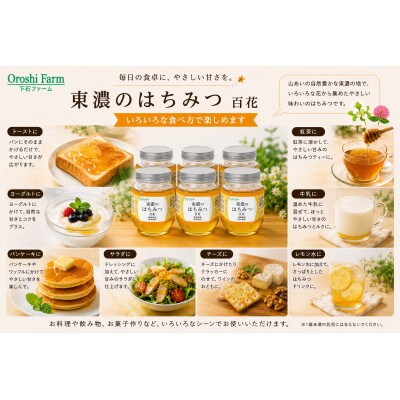 東濃のはちみつ　百花　220g　6本セット