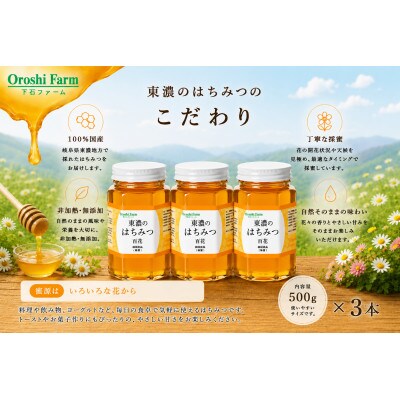 東濃のはちみつ　百花　500g　3本セット