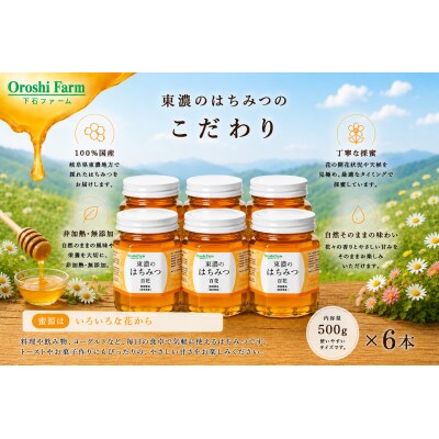 東濃のはちみつ　百花　500g　6本セット