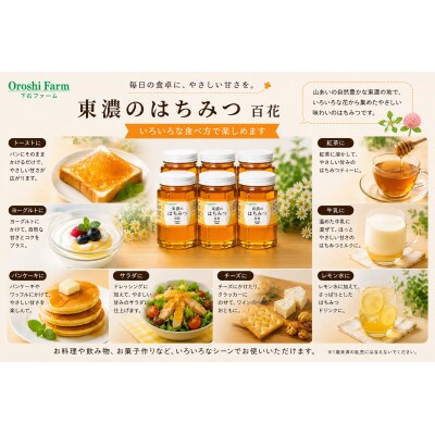 東濃のはちみつ　百花　500g　6本セット