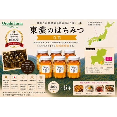 東濃のはちみつ　百花　500g　6本セット