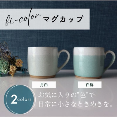 【美濃焼】 bi-color マグカップ 2色セット (月白・白群) 【山二製陶所】