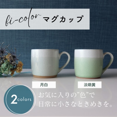 【美濃焼】 bi-color マグカップ 2色セット (月白・淡萌黄) 【山二製陶所】