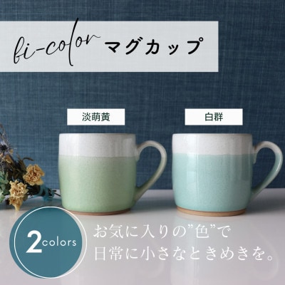 【美濃焼】 bi-color マグカップ 2色セット (淡萌黄・白群) 【山二製陶所】