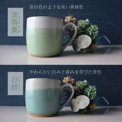 【美濃焼】 bi-color マグカップ 2色セット (淡萌黄・白群) 【山二製陶所】