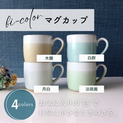 【美濃焼】 bi-color マグカップ 4色セット (白群・淡萌黄・月白・木蘭) 【山二製陶所】