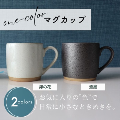 【美濃焼】one-color マグカップ 2色セット (卯の花・漆黒)【山二製陶所】