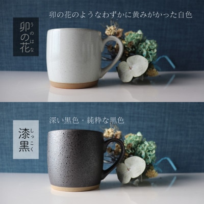 【美濃焼】one-color マグカップ 2色セット (卯の花・漆黒)【山二製陶所】
