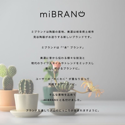 【美濃焼】miBRAND COSMO マグカップ(ゴールド)【見谷陶器】