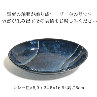 【美濃焼】青の時代カレー皿5点セット【山正各務陶器】555105電子レンジ、食洗器対応