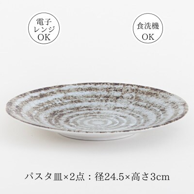 【美濃焼】世界のありがとうに包まれたパスタ皿&小皿4点セット【山正各務陶器】(783904)